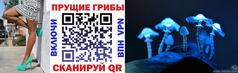 Псилоцибиновые грибы ЛСД Купить Карабулак