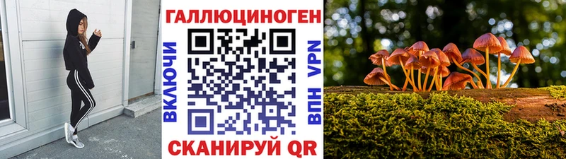 Псилоцибиновые грибы мицелий Карабулак